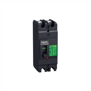 INTERRUPTOR FIJO SIN REGULACION EASYPACT EZC100 60A 2P 30KA UNIDAD TMD 28241259 Schneider Electric