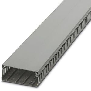 CANALETA RAN/GRIS 100AN X 40AL xTIRA/2M 324027994 Phoenix Contact