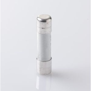 FUSIBLE E9E 10GG 6A 479915685 ABB