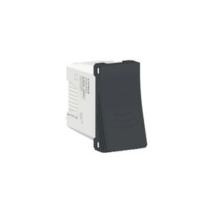CHICHARRA ORION 220V 1 MODULO, GRAFITO 87829403 Schneider Electric