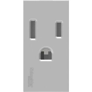 TOMA CORRIENTE ORION USA 15A 250V 2P+T 1 MODULO ALUMINIO 20207403 Schneider Electric