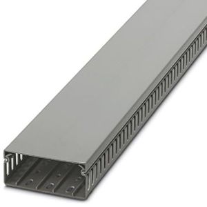 CANALETA RAN/GRIS 40AN X 100AL xTIRA/2M 324029494 Phoenix Contact