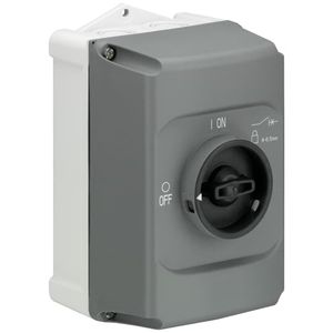 CAJA IP65 IB132-G 19810585 ABB