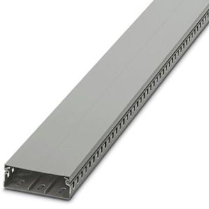 CANALETA RAN/GRIS 25AN X 80AL xTIRA/2M 324019794 Phoenix Contact
