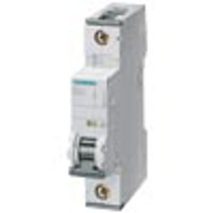 Interruptor Termomagnï¿½tico 1 Polo, Curva C, 10kA, 32A 5132061 Siemens