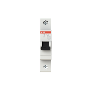 INT AUTOMATICO 1x 40A  C   6KA 2414085 ABB