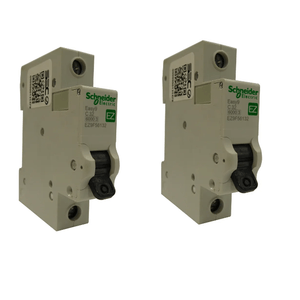 PACK x2 INT AUTOMATICO 1x 32A C  6KA DA5613259 Schneider Electric