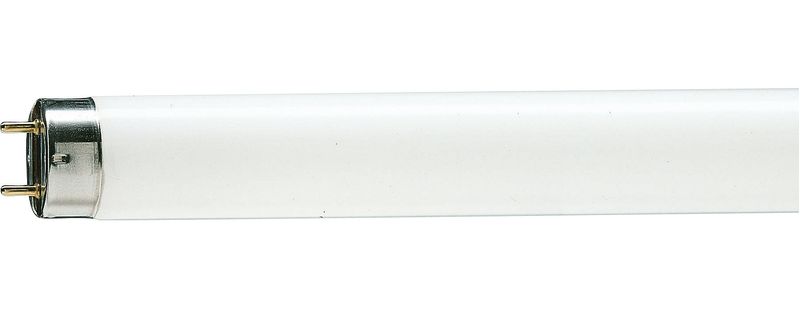 239500807