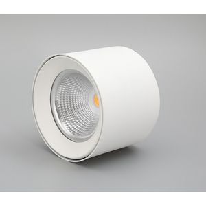 FOCO LED SOBREPUESTO 30W 2400LUMENES IP44 3K 50G CRI80 BLANCO 279005025 Darlux