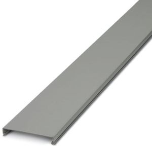 TAPA CANALETA 60MMX2000MM GR 324028794 Phoenix Contact