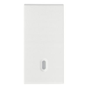 TECLA INTERCAMBIABLE 1 MODULO. ILUMINABLE. BLANCO 2002076 Vimar