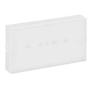 EQUIPO EMERGENCIA UONE COMB 200LM 2H IP42 STD 66164204 Legrand