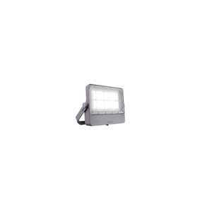 PROYECTOR DE AREA LED PHILIPS BVP432 15.600LM 3.000K 120W ASIMETRICO DS43 278461107 Philips