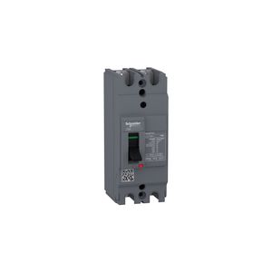 Interruptor Easypact EZC sin regulación 80A 2P 50kA 220V AC unidad TMD 28128059 Schneider Electric